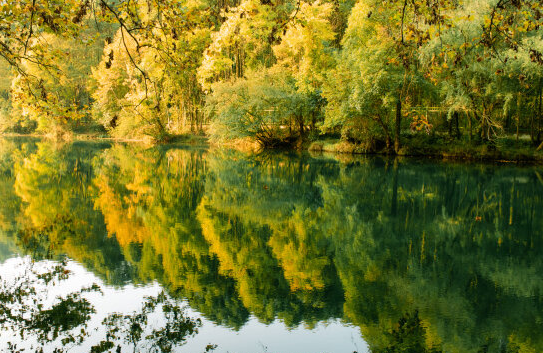 深秋时节，贵阳花溪黄金大道美如画