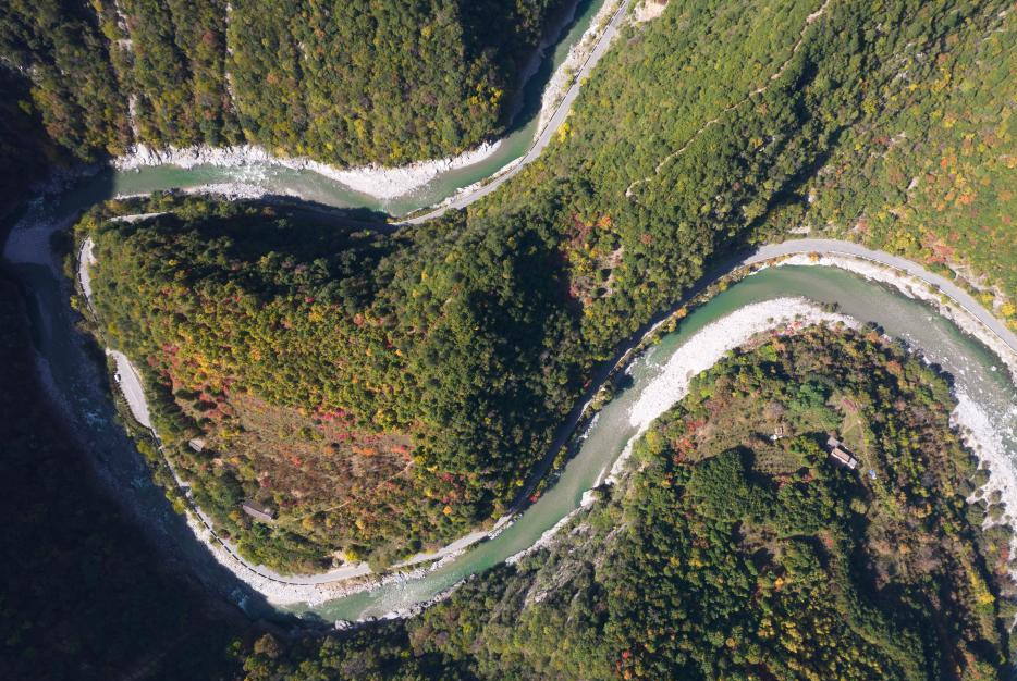 秦岭：和谐共生的金秋画卷