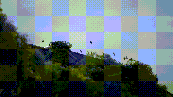 青春遇见贵州宣传片(定稿).gif 图片