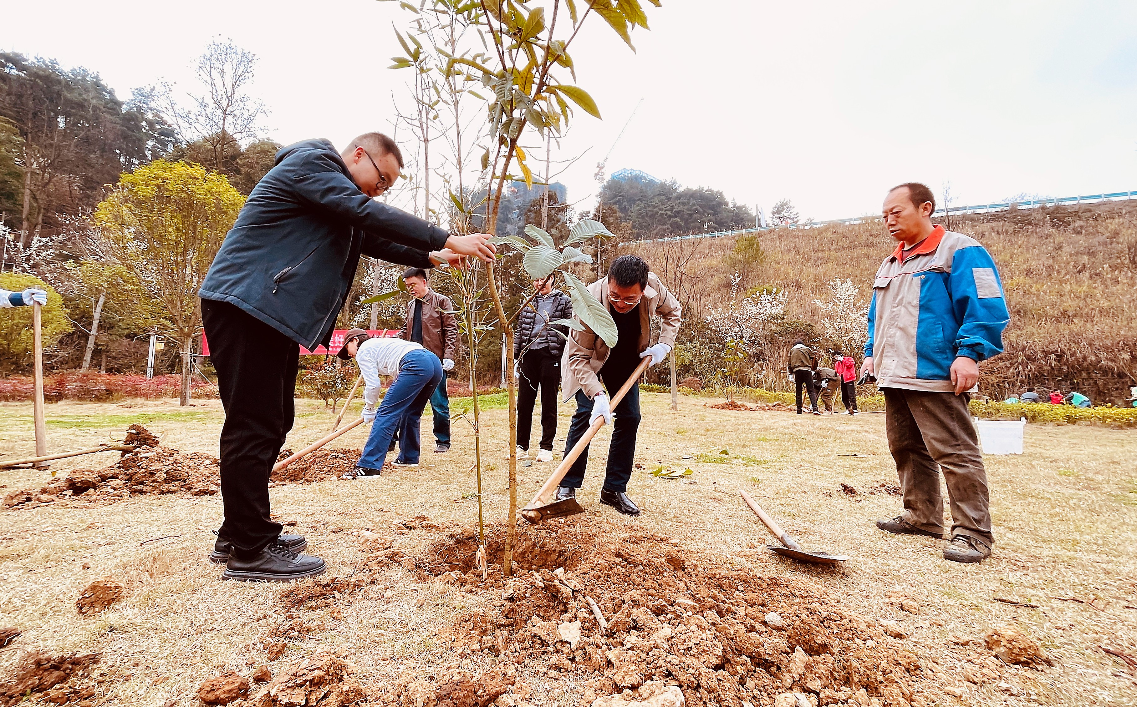 在春天种下“树木与树人”的希望！市工投公司开展植树活动