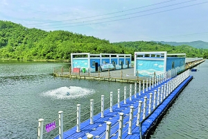 白云区村集体经济“1+1”发展方式试点麦架镇麦架村生态渔业项目现场