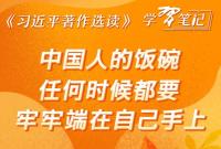 《习近平著作选读》学习笔记:中国人的饭碗任何时候都要牢牢端在自己手上