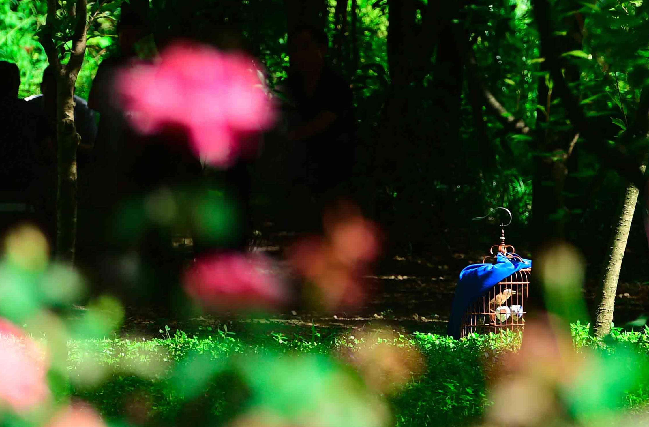 贵阳:花溪公园避暑游