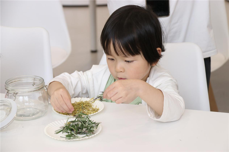 贵阳市少儿图书馆举办传统文化“认识中草药”自制防蚊水活动