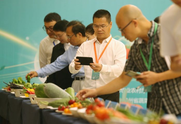 2023贵州省第三届蔬菜种子种苗展示推介会开幕 国内外百余家企业和科研单位齐聚贵阳助力贵州种业发展