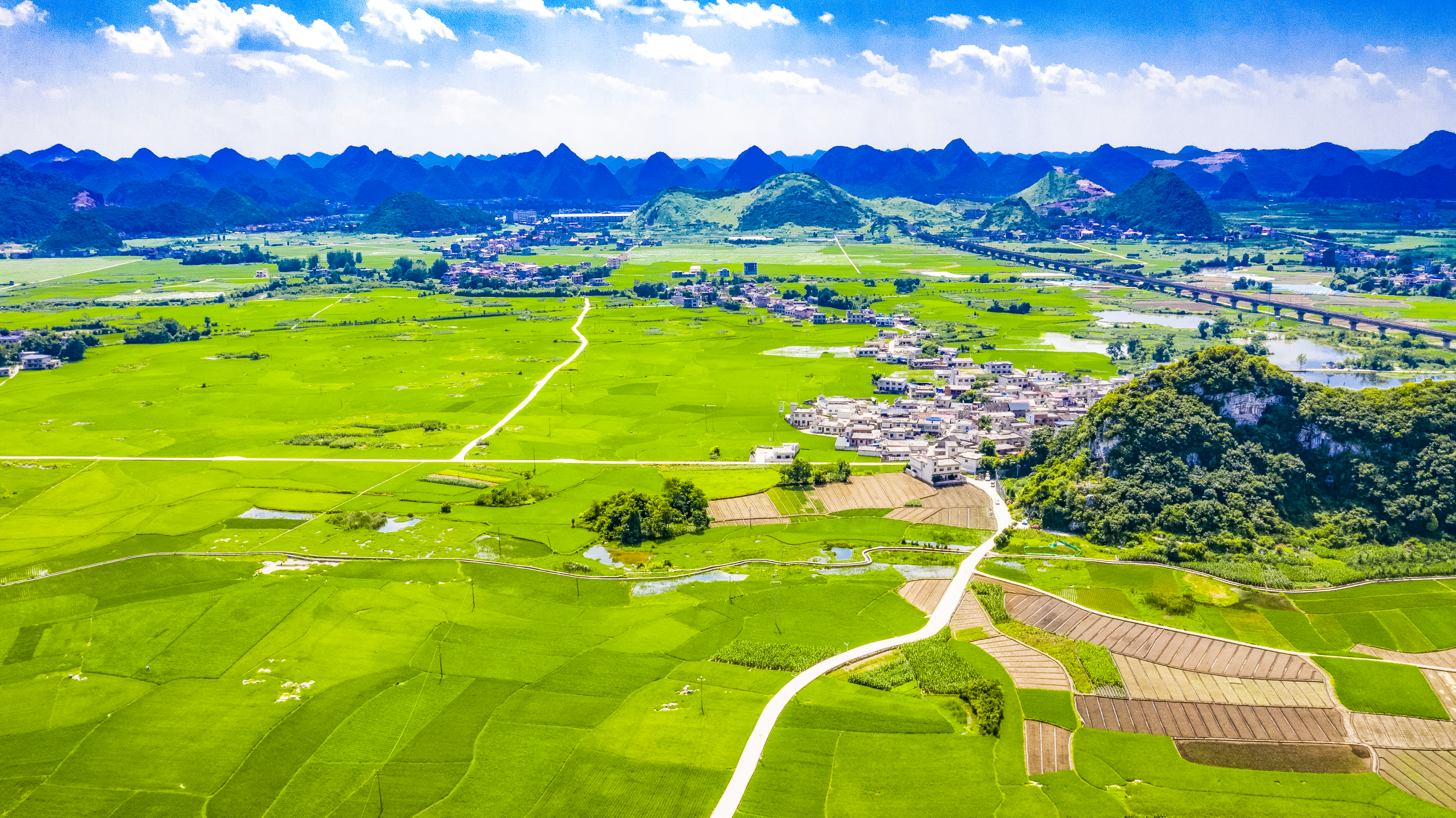 【立足岗位作贡献】郝磊:打好“三张牌” 为民办实事