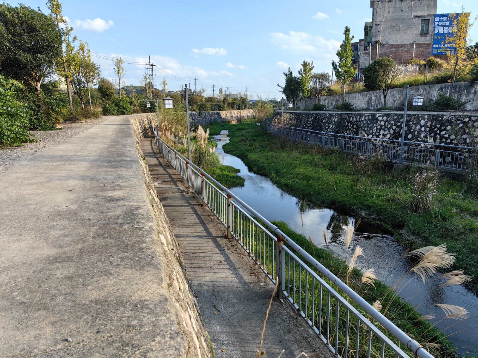 东门桥河(支流)左一支流扁坡村河段河道景色(庹本琴摄)