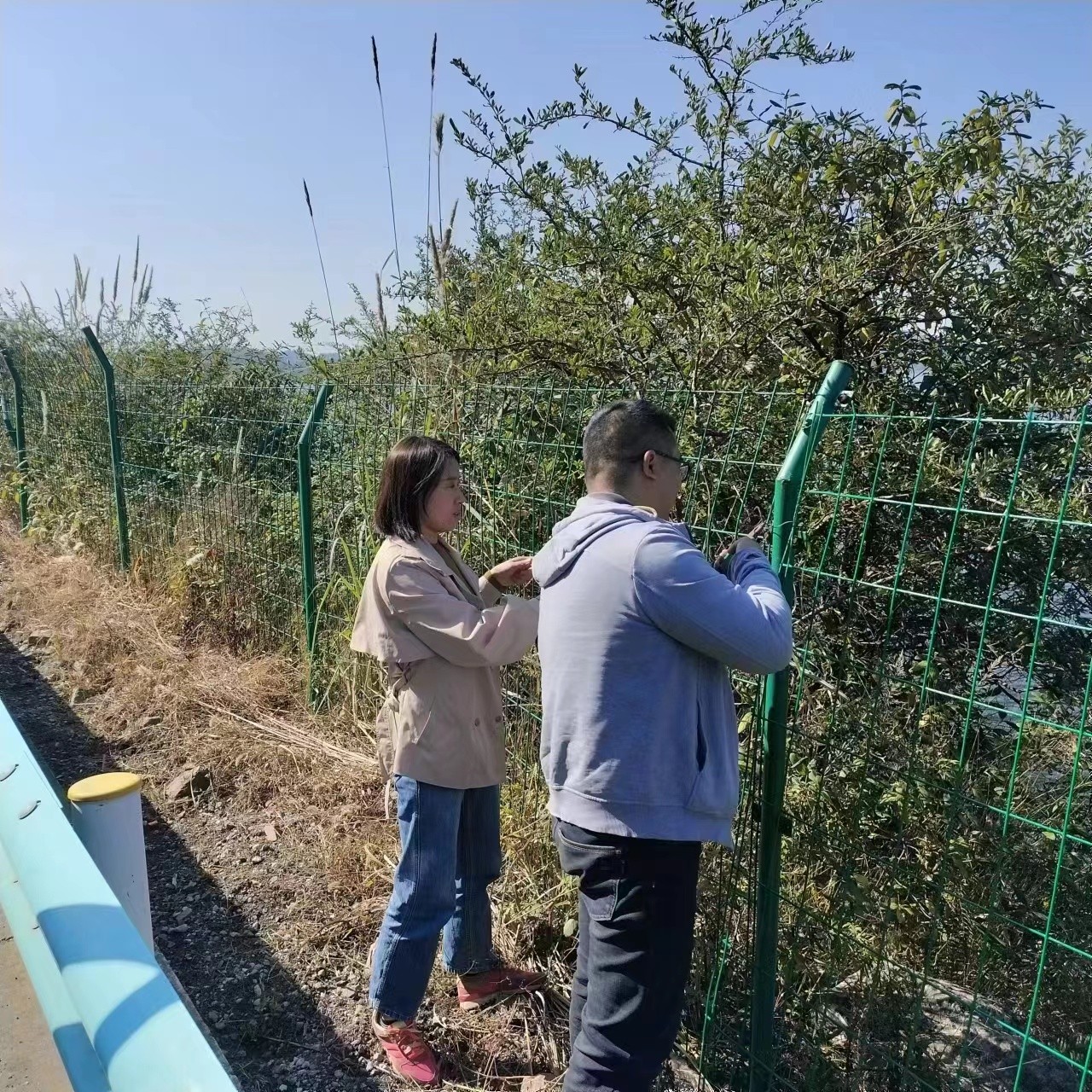 红枫湖工作人员巡查并修复一级水源破损保护区围网。