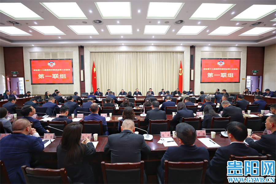 胡忠雄参加市政协十三届三次会议第一联组议政会