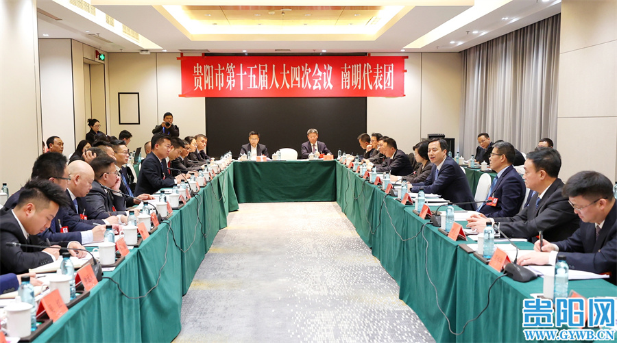 马宁宇参加南明代表团审议