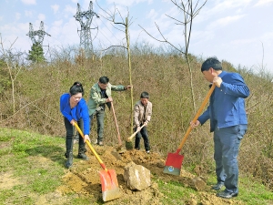 开阳县开展植树活动