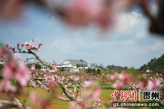 王强 摄 王强 摄