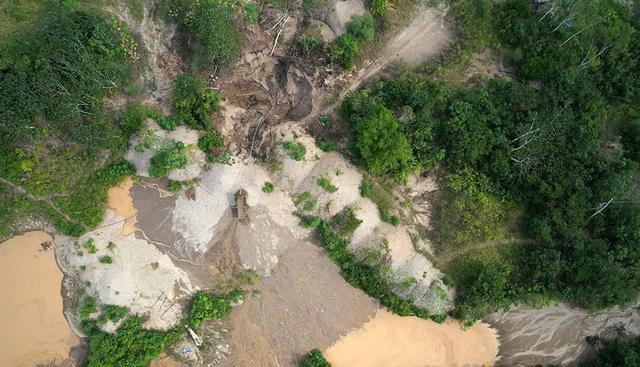 无人机又有新用途：保护亚马逊雨林生态环境