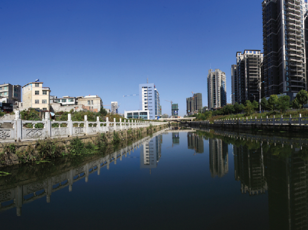 我国森林覆盖率_中国人均森林覆盖率(3)