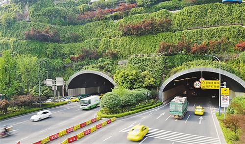 重庆渝中区:10年新增立体绿化面积29万平方米