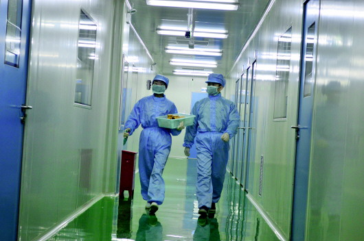 gdp试剂_化学试剂