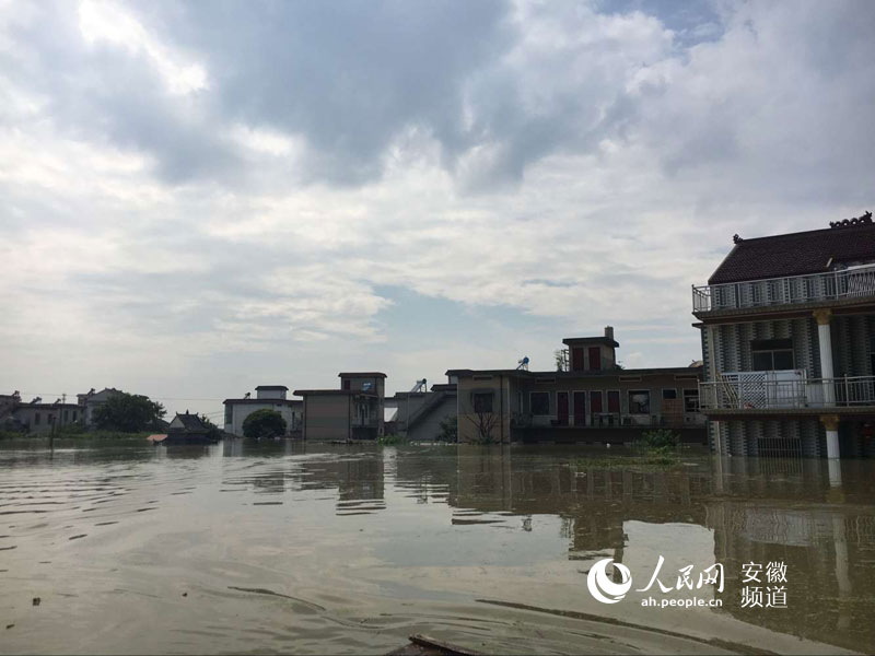 含山林头镇都胜圩发生溃破 救援正在进行(组图