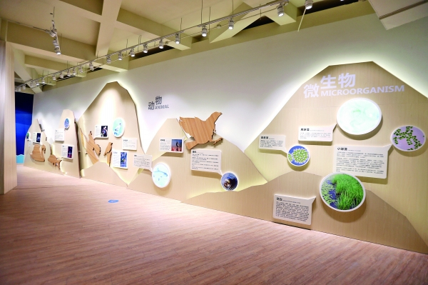 贵阳GDP水_贵阳gdp增速曲线图