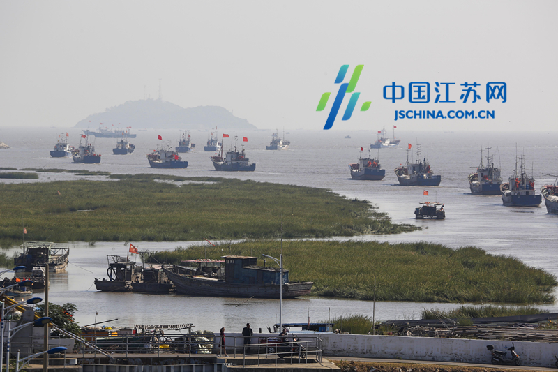 连云港:台风过后千艘渔船扬帆出海