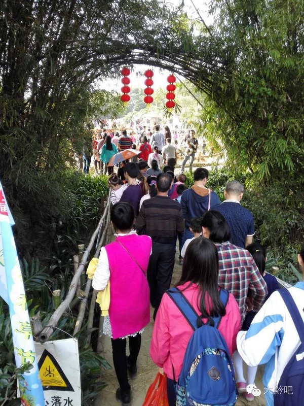 稻草节对中国乡村小镇的发展有何作用?