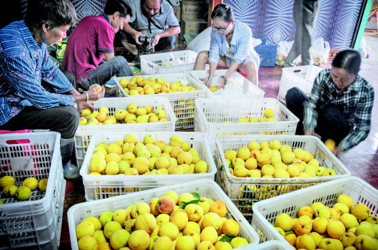 玉屏县gdp_玉屏县图片(3)