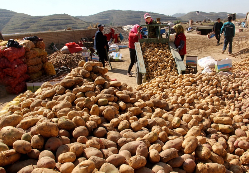 甘肃全省gdp西安市_西安市地图(3)