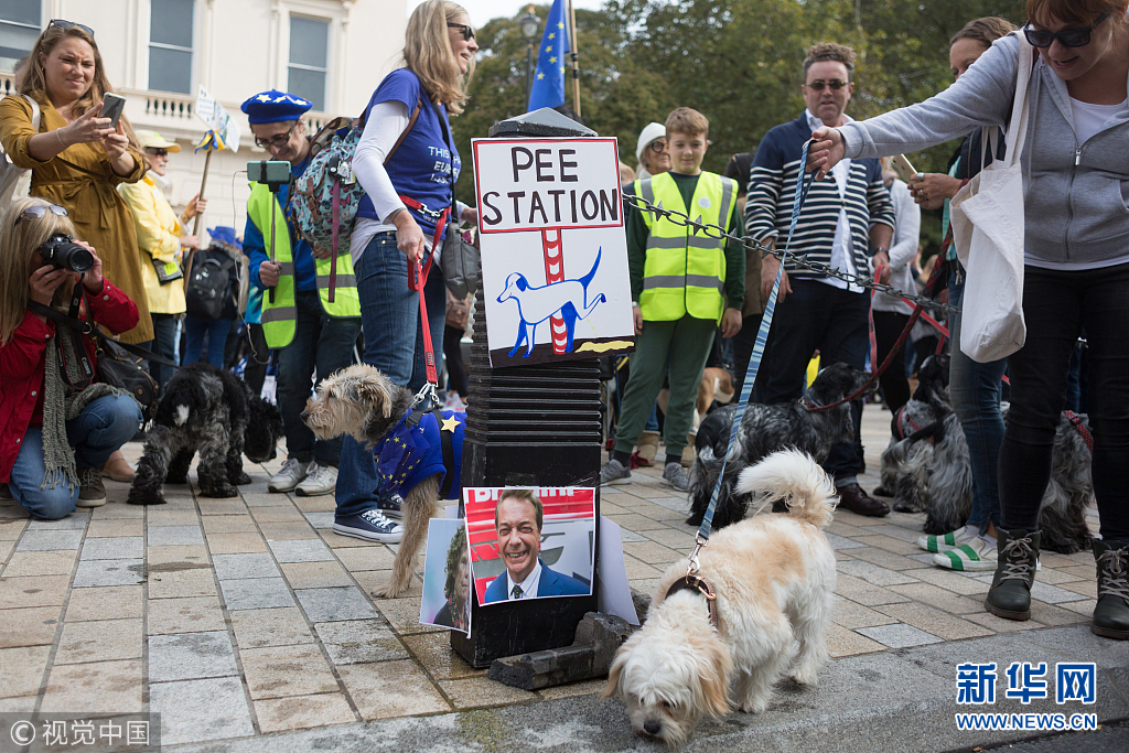 英国留欧派民众上街游行 宠物狗与主人一同上