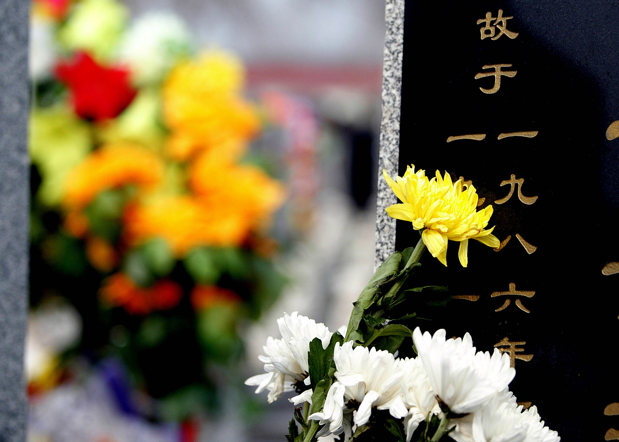 开阳金中镇宣传绿色清明倡导文明祭祀为弘扬民族传统文化,树立新时代