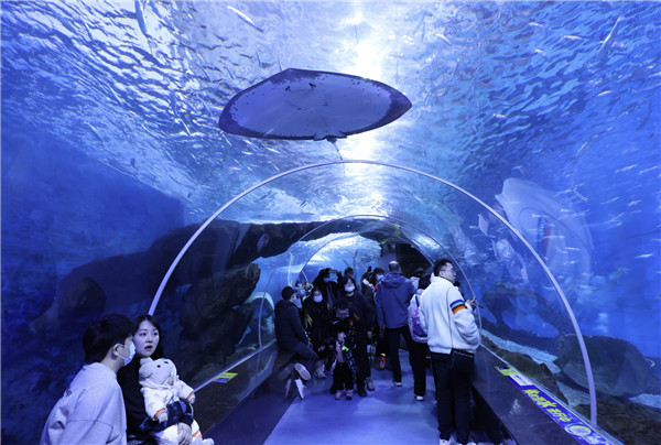 图集元旦小长假贵阳海洋馆人气十足