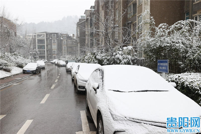 图集大雪纷飞雪中的贵阳美如画
