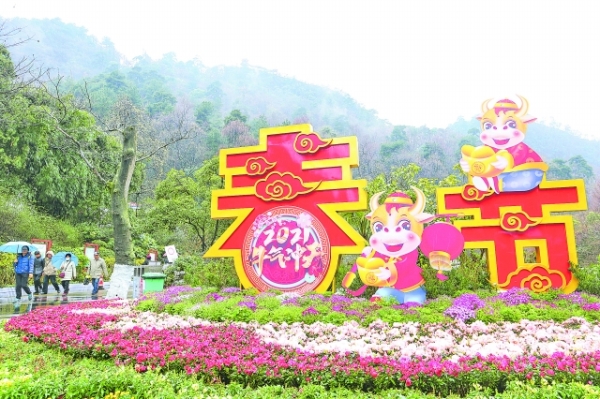 贵阳街头年味浓