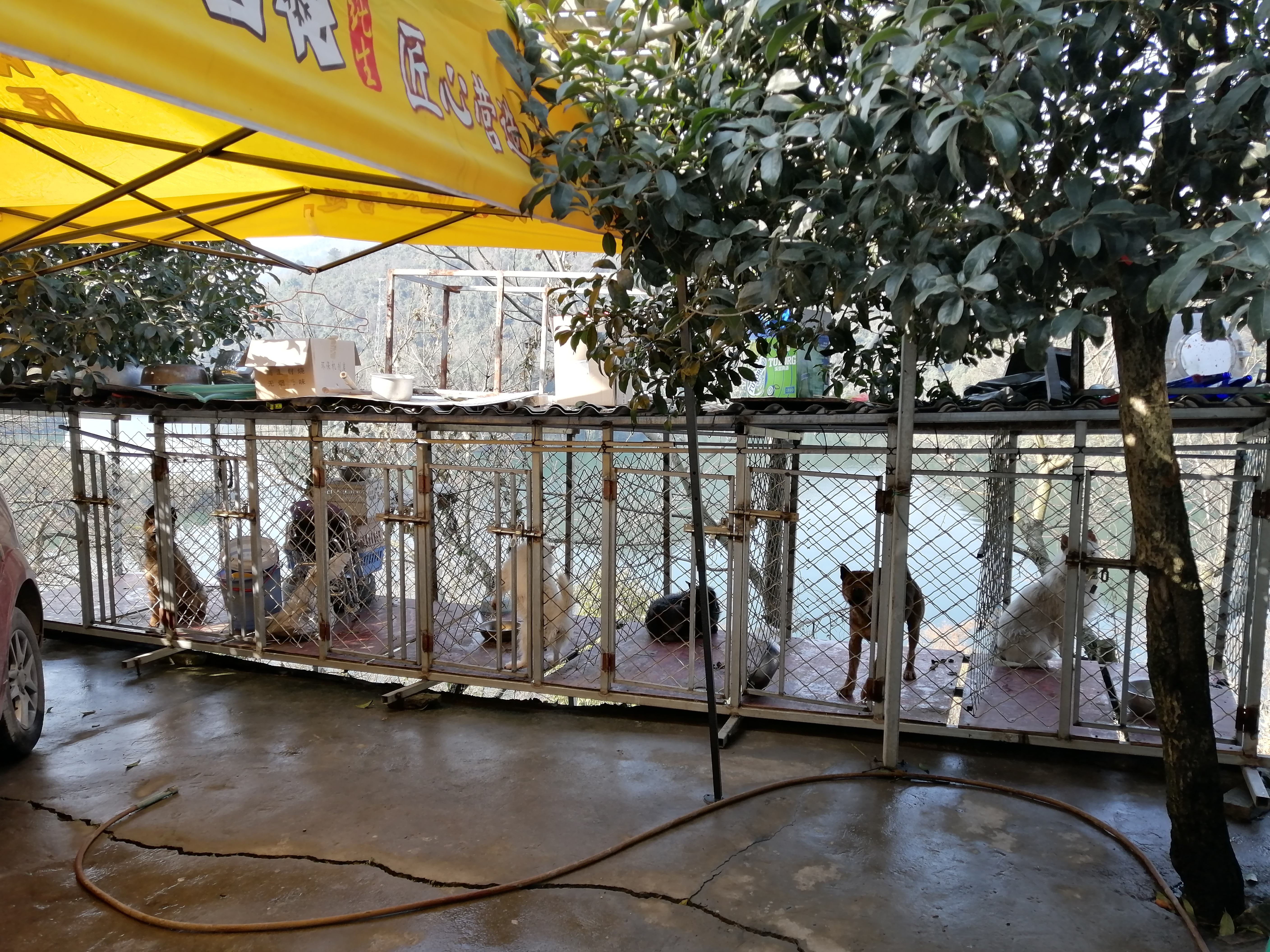 贵阳阿哈水库边坡有人建狗舍倒垃圾?多部门督促整改