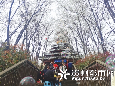 凯里开发区白午公园樱花灿烂游人如织
