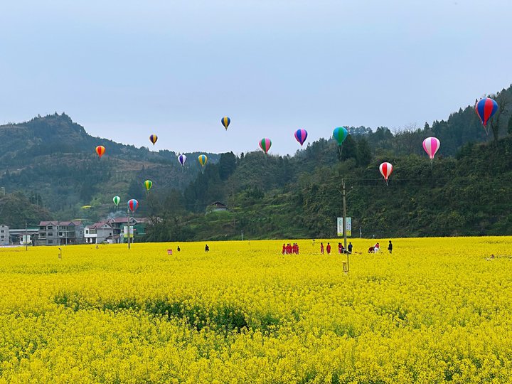 美如画瓦屋乡万亩油菜花邀你共赴盛宴