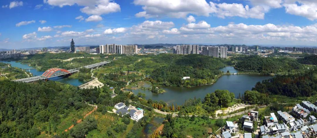 一组观山湖区美图和数据带你了解植树造林的好处和意义