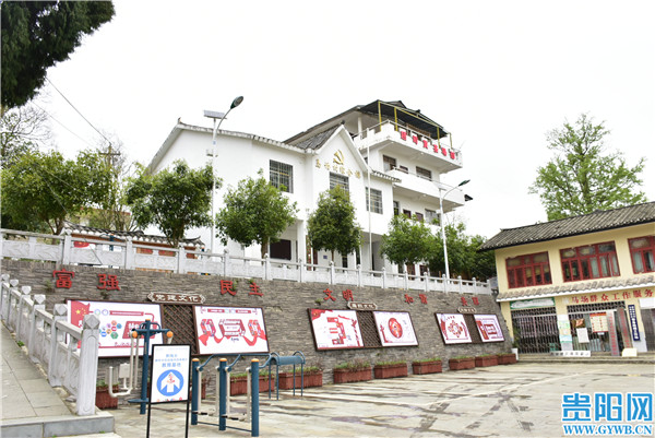 花溪区黔陶乡马场村春来茶葱香民族情更浓