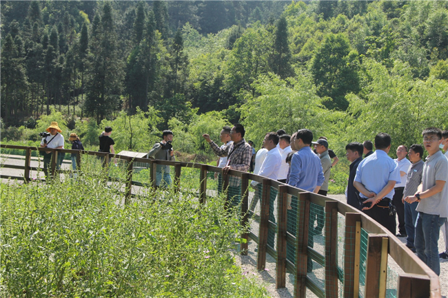 走起安顺西秀区梅旗萤火谷今天开园啦