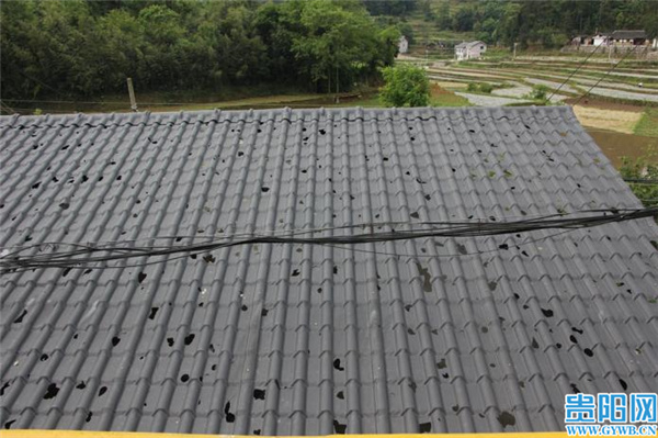 遵义直径30毫米冰雹袭击乡村不少村民家石棉瓦被砸成筛