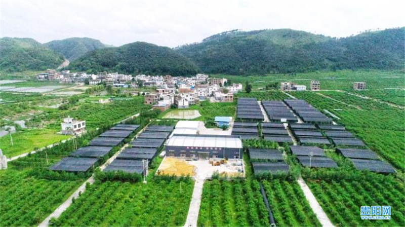 贵州三都县周覃镇布依同胞欢度四月八