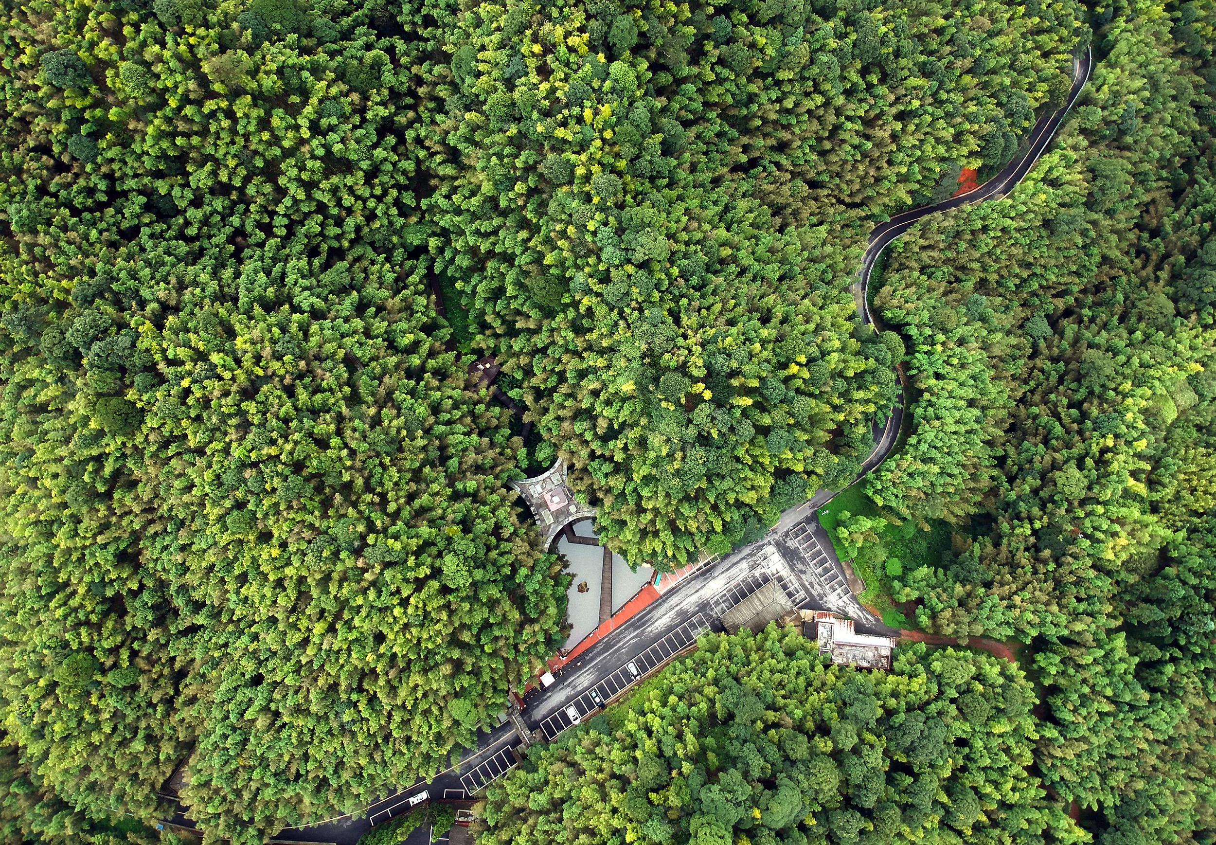 "公园省"名副其实,贵州省各级森林公园达89个-贵阳网