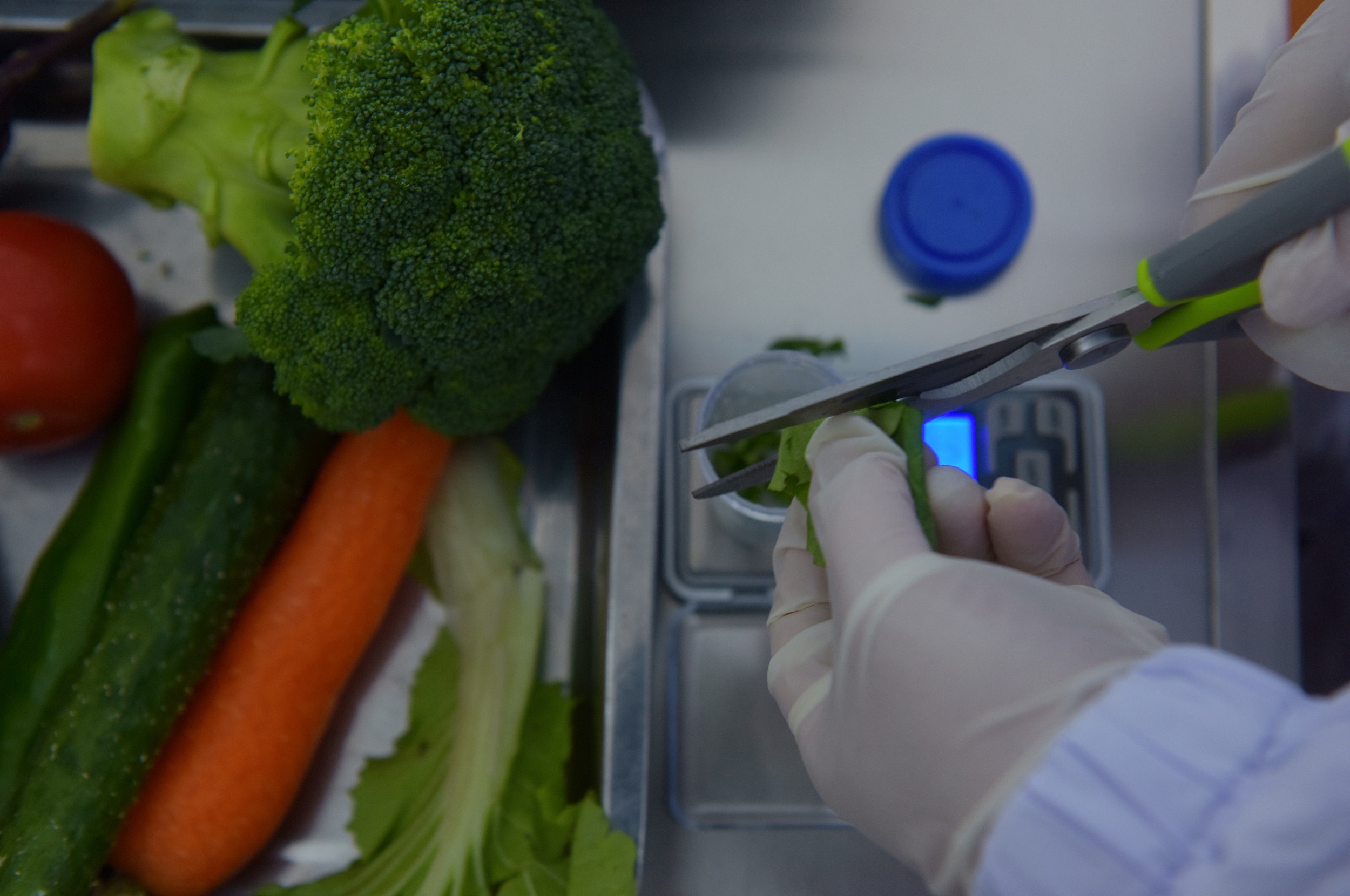 云岩区食品安全检测机构开放日活动举行-贵阳网