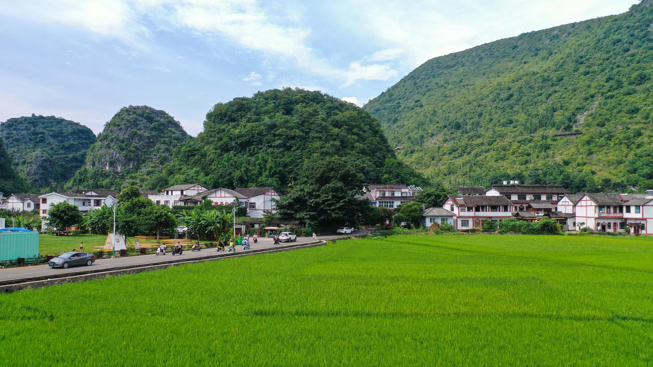 颜色格外清新,清冽的溪流,葱绿的田野,纵横阡陌,构成了一幅幅田园风景