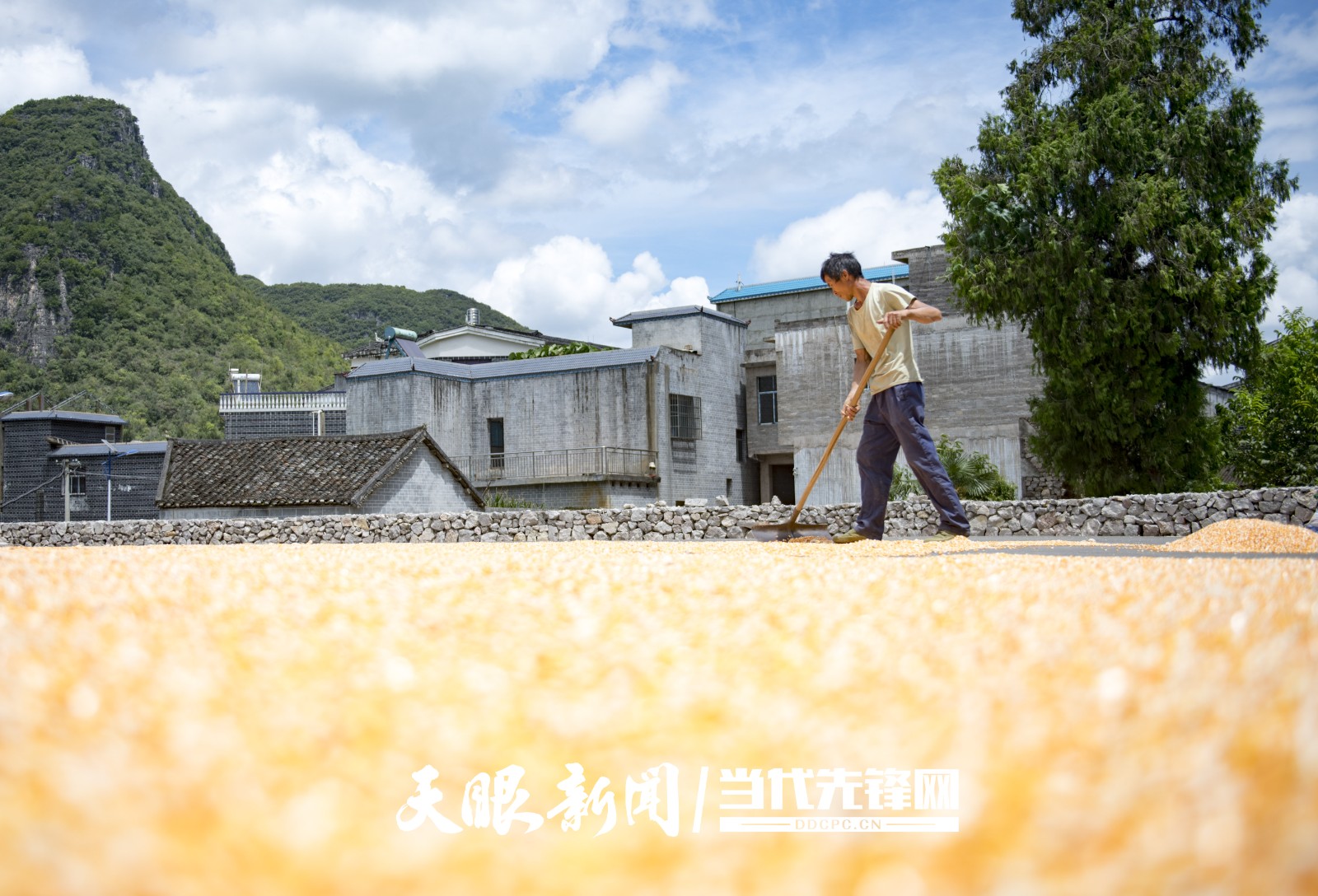 黔西南兴义市楼纳村晒丰收晒幸福