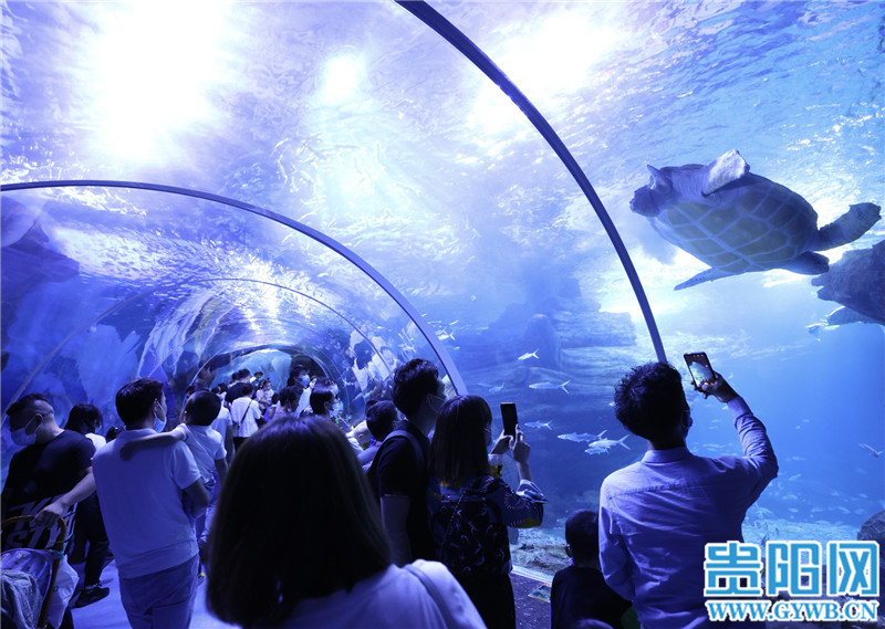 图集中秋小长假第二天贵阳海洋馆迎客流高峰