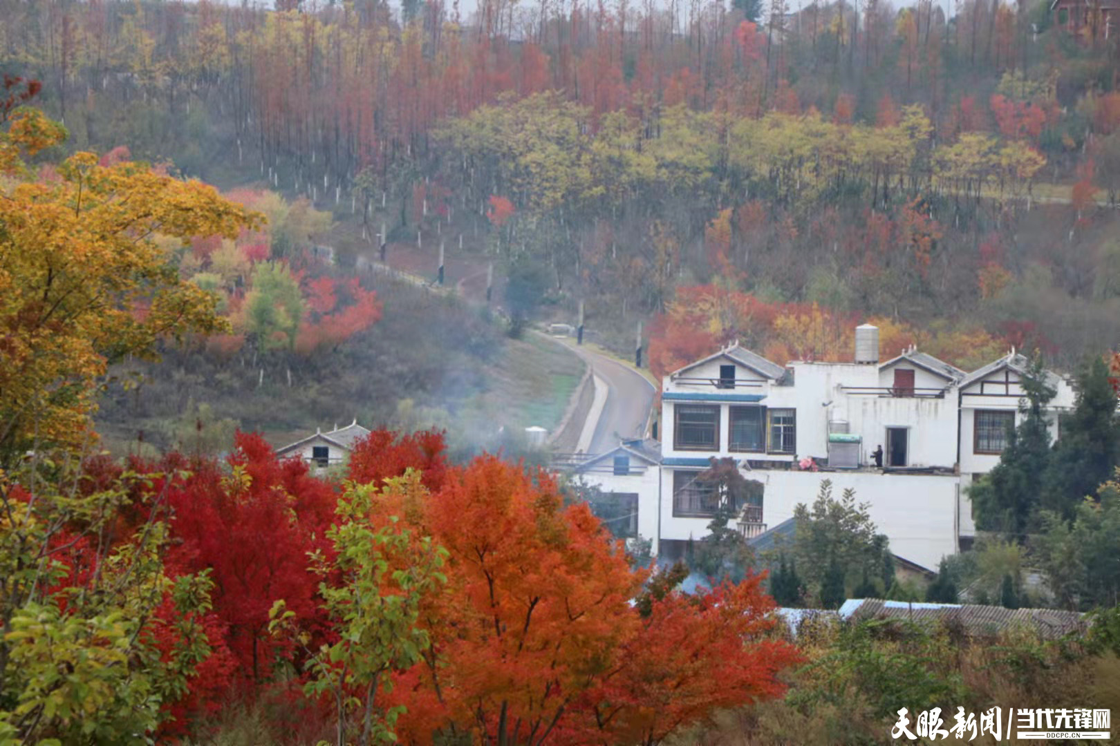 毕节威宁深秋草海北坡美如画
