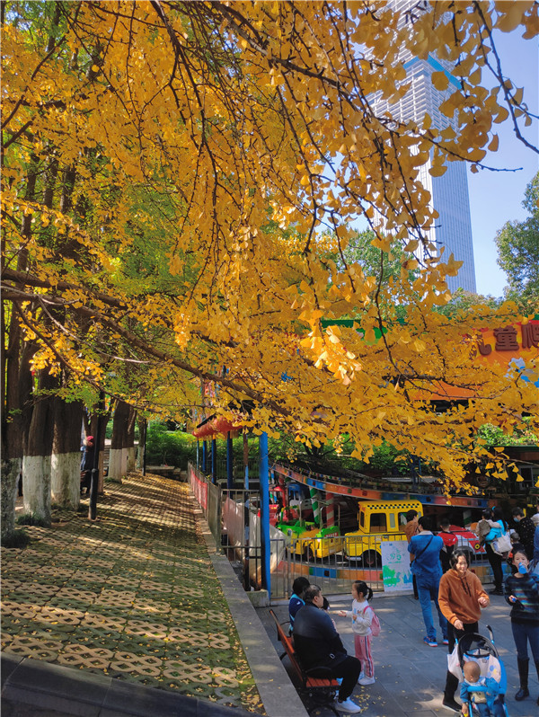 穷游贵阳趁寒意未起到贵阳河滨公园赏景玩乐