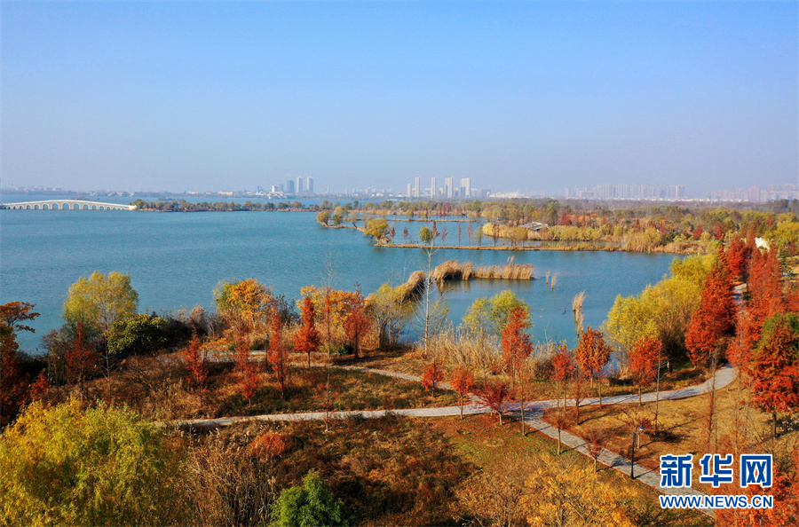 六安南湖公园图片