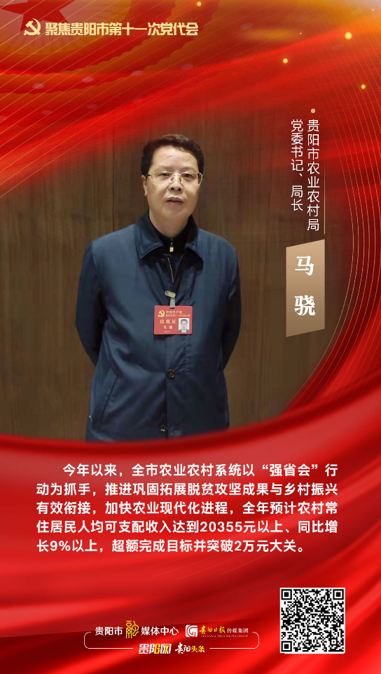 党代表热议报告⑨贵阳市农业农村局党委书记局长马骁全面推进乡村振兴