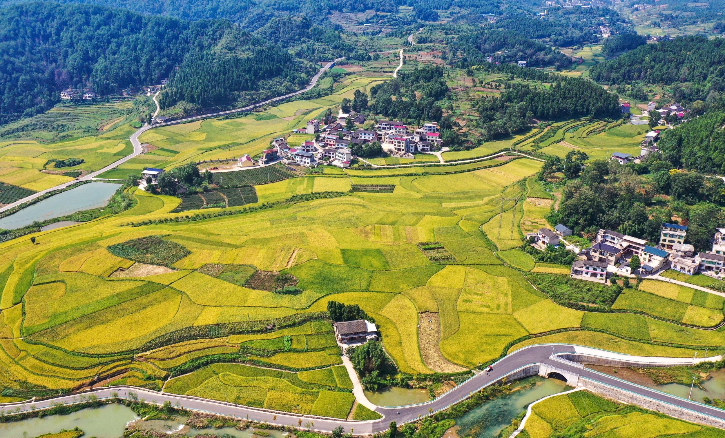 朱家场镇混寨村梯田风光.胡攀学 摄.jpg