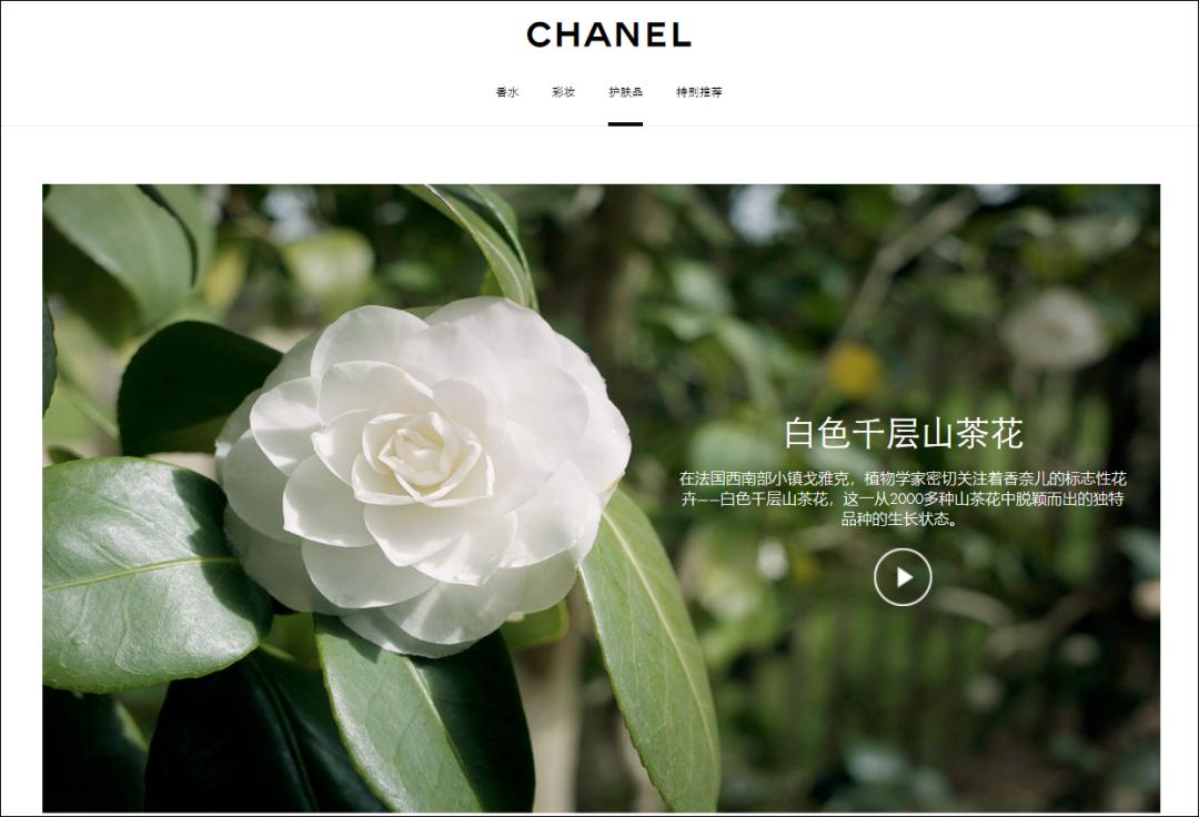 据香奈儿官网介绍称,山茶花能够抵御冬日寒霜的特性引起了香奈儿科学